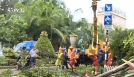 西双版纳：强降雨致树木倒伏车辆被压