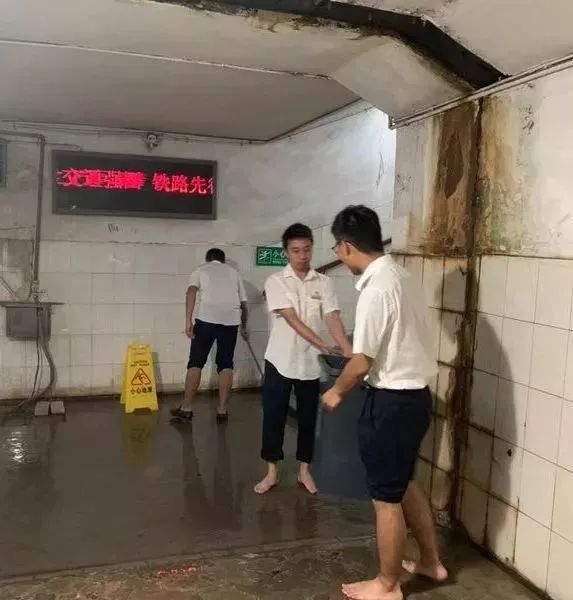 这是一群连台风也吹不走的青年