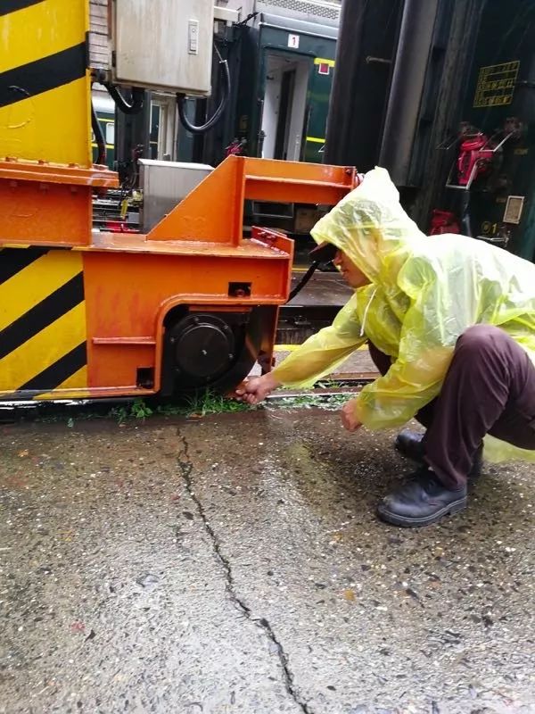 这是一群连台风也吹不走的青年