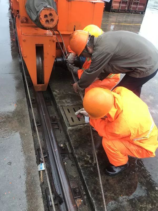 这是一群连台风也吹不走的青年