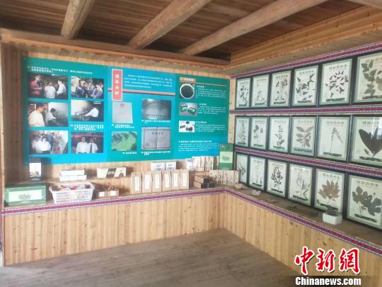 大山深处的村医路：赤脚畲医行医三十余载