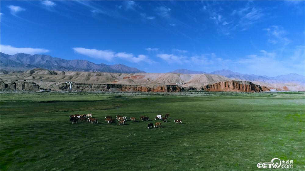 在兰州,巴依勒格组建了一支名为"朝格"组合的乐队,他既是乐队的主唱