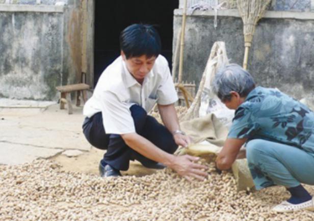 图为沈浩（左一）帮助村民收花生