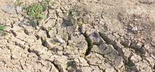 江西 水库见底 灌溉受影响 农业减产