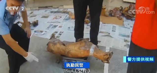 重庆男子偷捕野生动物 存满一冰柜被查获
