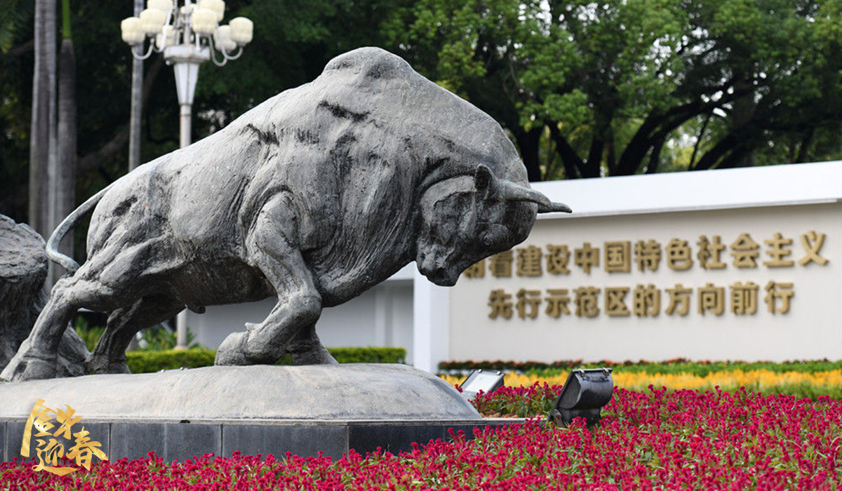 △这是深圳深南大道的“拓荒牛”雕像。