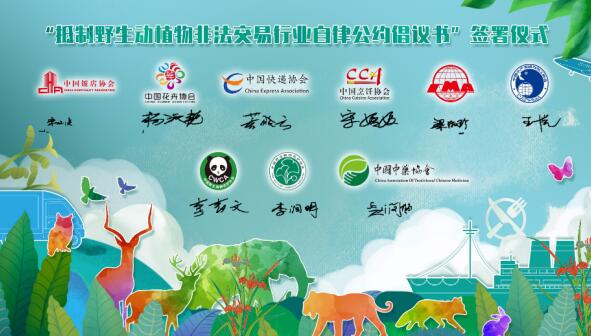中国野生动物保护协会供图