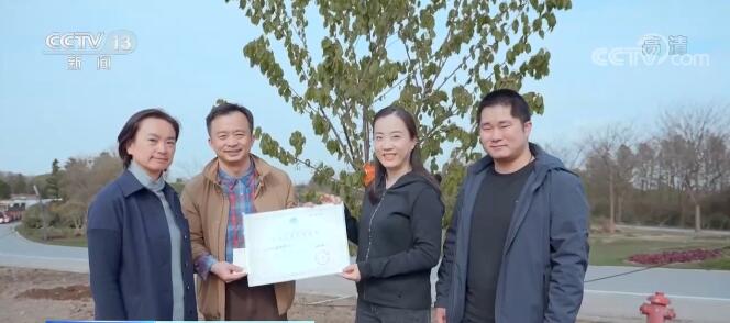 上海援鄂医疗队队员