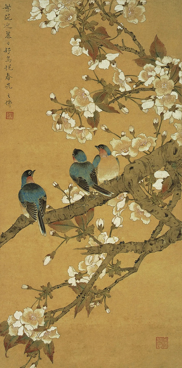 樱花蓝雀 陈之佛 中国画  63×31cm 1956年 南京博物院藏