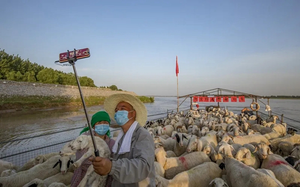 黄河岸边   王书斌（河南）  　　2020年5月10日，河南省原阳县官厂镇小庄村，村民王小俊夫妇牧羊归来，在黄河岸边的船上自拍。