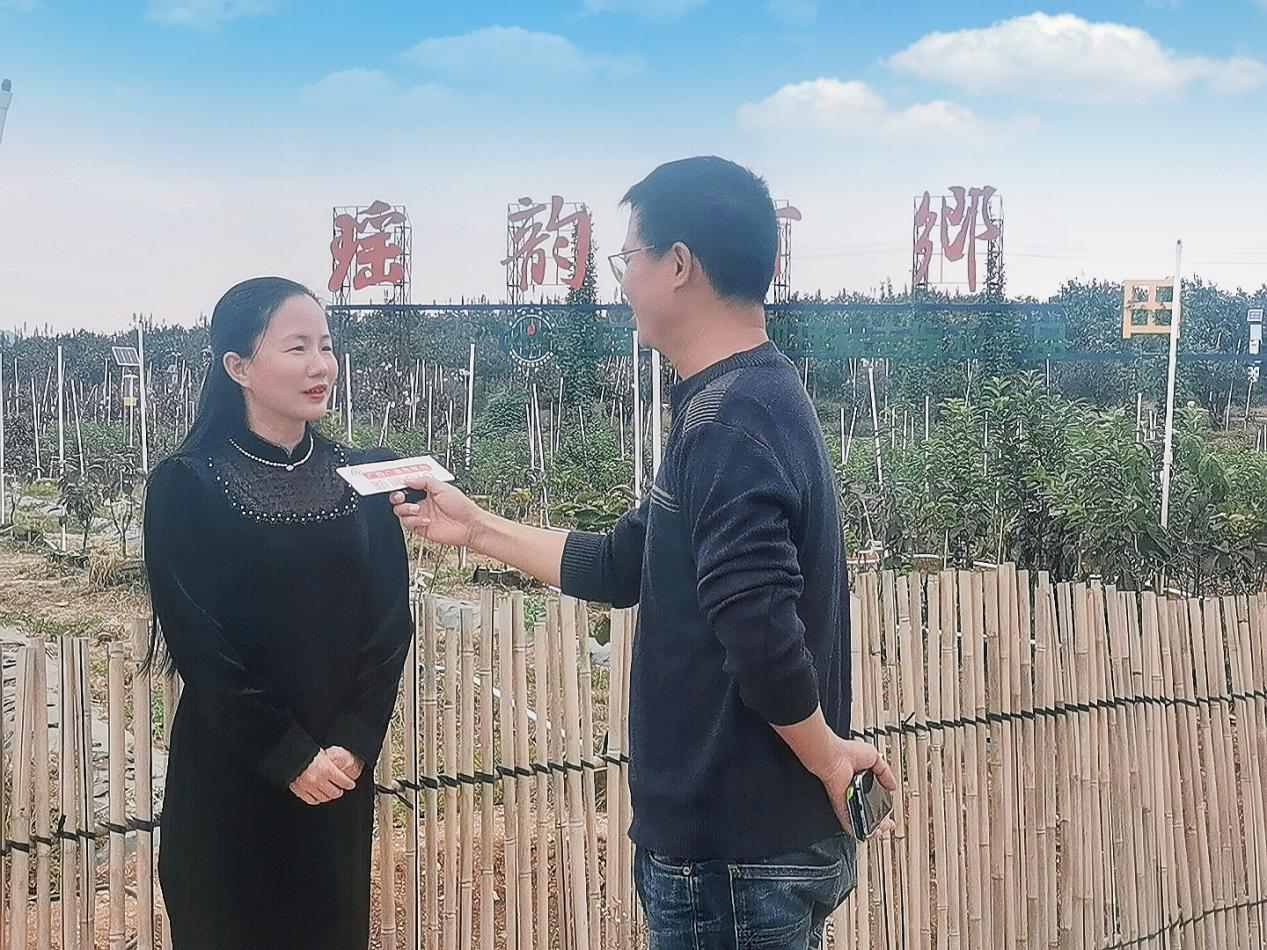 恭城瑶族自治县副县长赵红玲接受记者采访