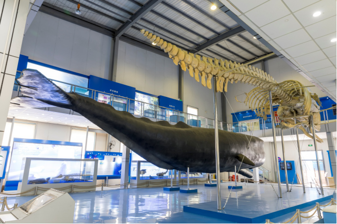 学校(上海海事大学前身)校友,"海辽"号船长方枕流率领全船宣布起义