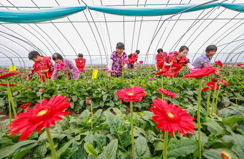 颜崇邦 谢宜军 摄影