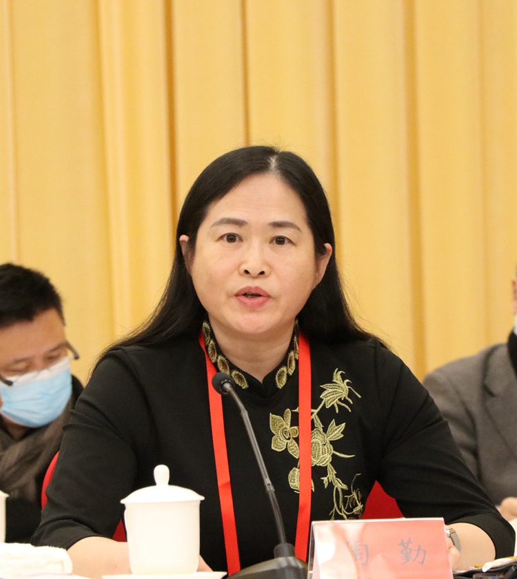 中国美协分党组副书记、一级巡视员陶勤宣读《增选办法（草案）》