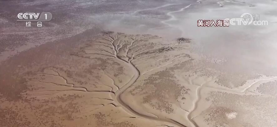 假期赏美景| 感受大美中国的锦绣山河_新闻频道_央视网(cctv.com)