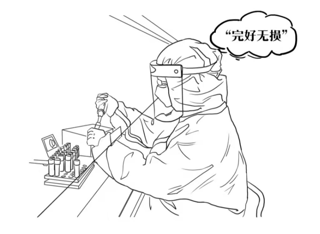 标本转运箱怎么消毒一份核酸检测报告是怎样诞生的？_https://www.jmylbn.com_新闻资讯_第8张