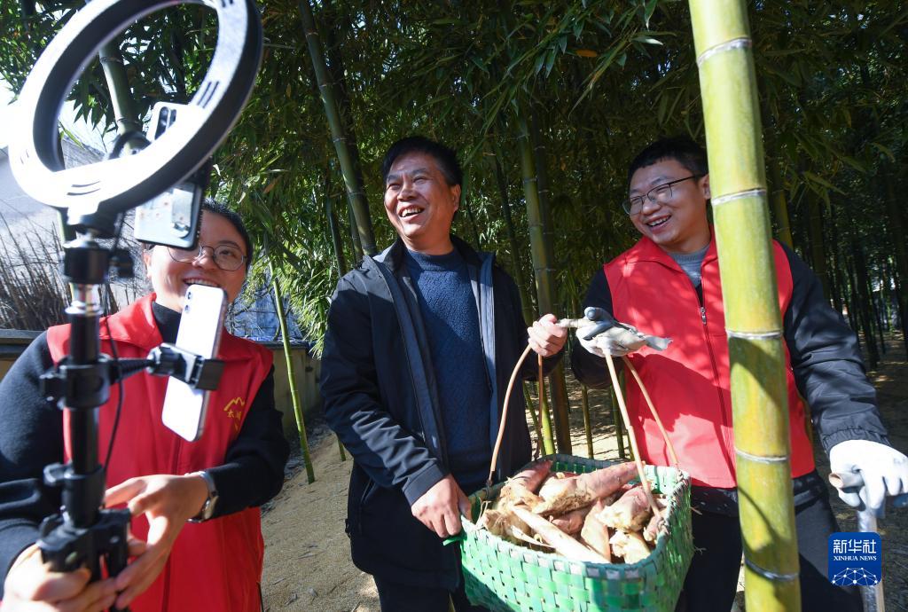 浙江省杭州市臨安區太湖源鎮黨員志愿者和種植戶在竹林直播采收雷筍，助力線上銷售（2021年12月23日攝）。新華社記者 徐昱 攝