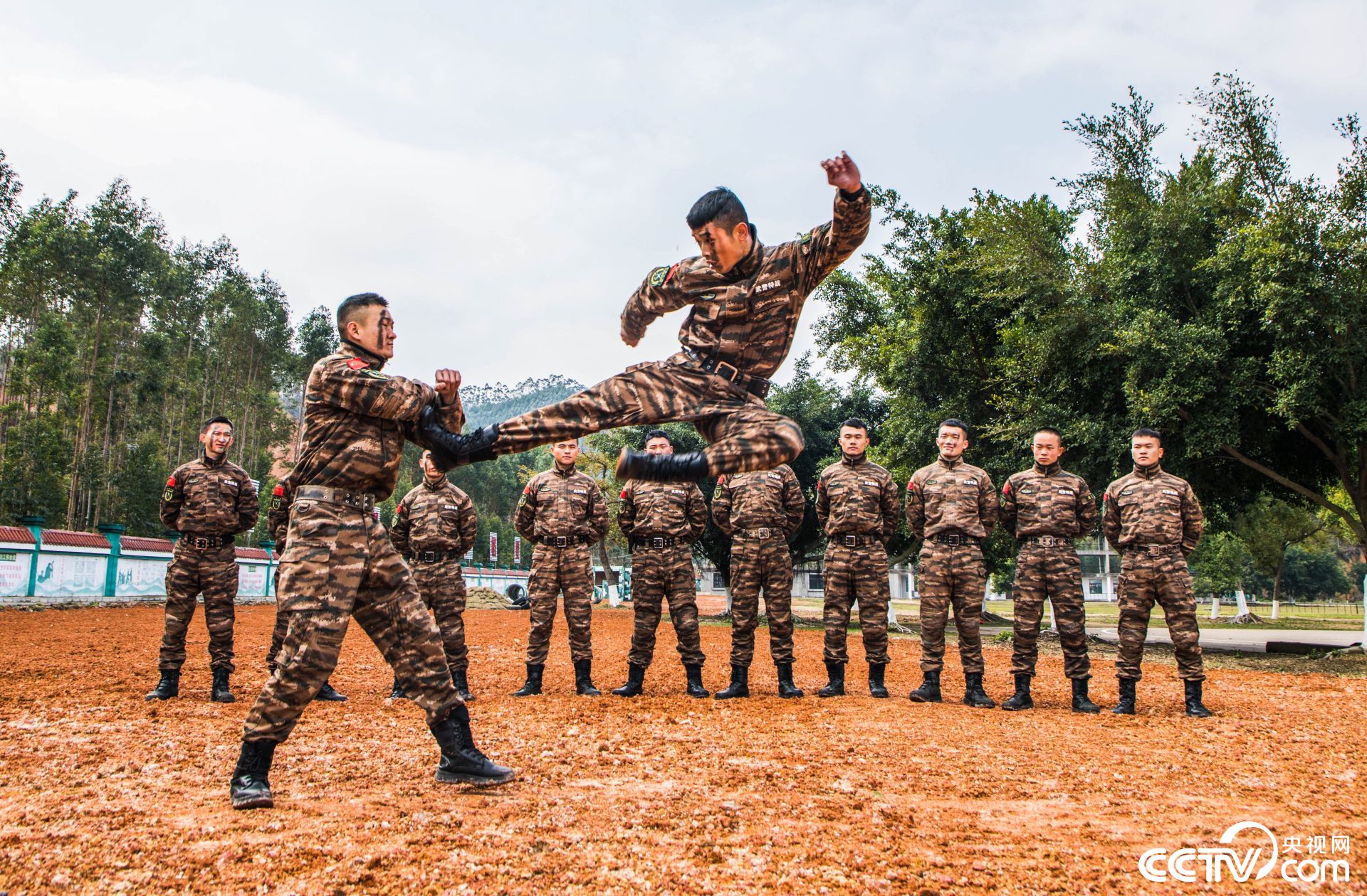 擒敌武警图片