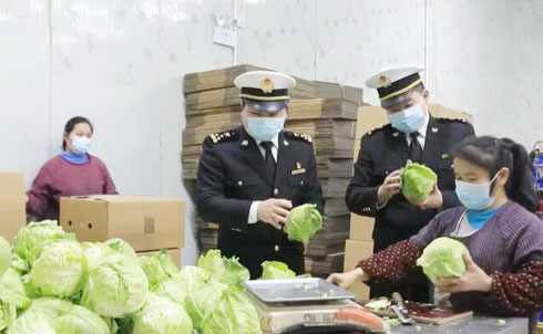 新鲜速达 湖南永州：首条陆海联运供港蔬菜专线发车