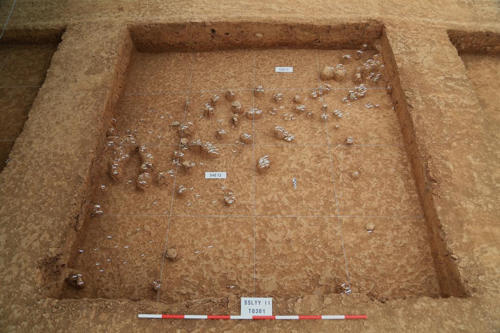 旧石器時代 石彫遺物 I42-3 （陕西一旧石器时代遗址出土万余件石