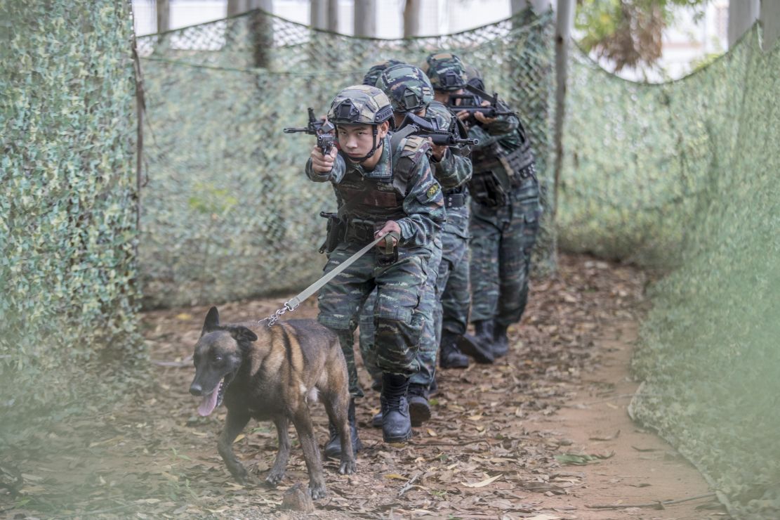 军犬壁纸卡通图片