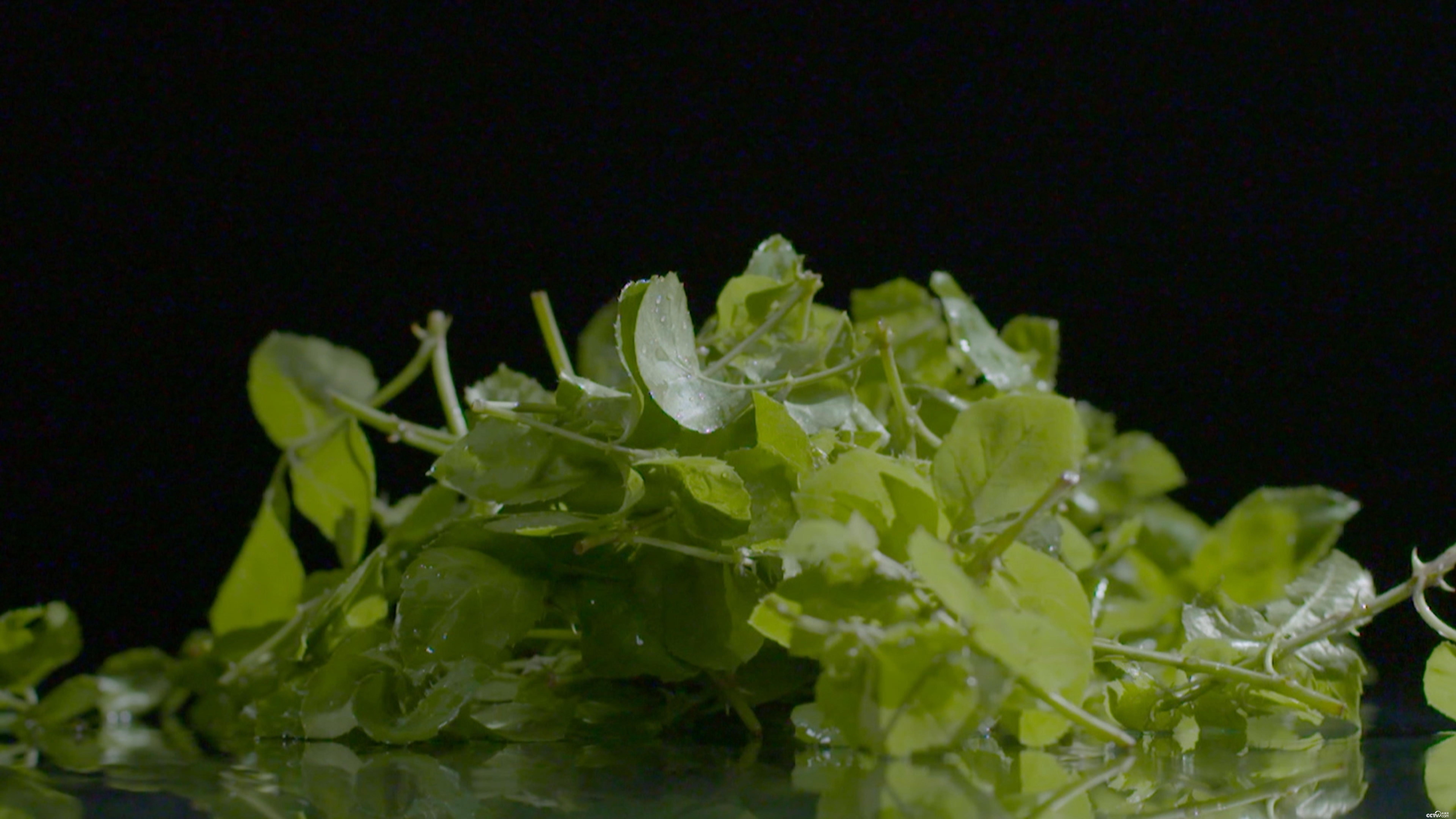 共同关注top 2虚拟货币引发荒山埋尸案一线top 3聚焦俄乌冲突中的工兵