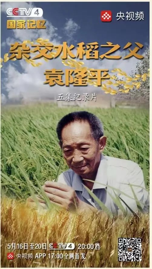 4中文国际频道也于5月16日起推出五集纪录片《杂交水稻之父 袁隆平》
