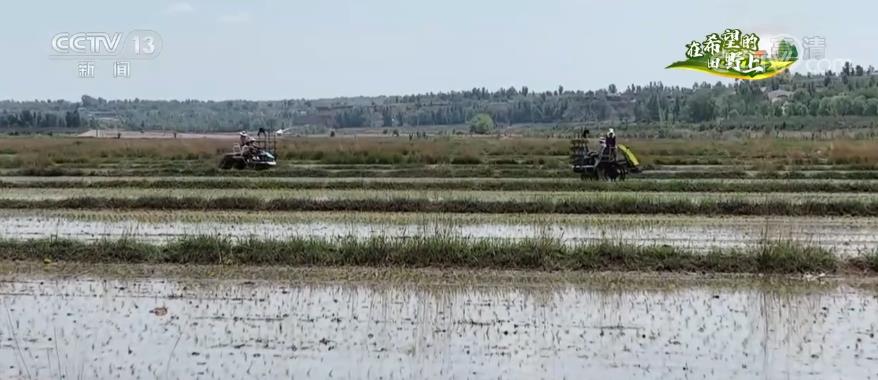 三夏时节 | 230万亩水稻机械化插秧作业有序开展 综合机械化率达99%