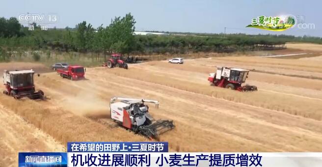 在希望的田野上·三夏时节 | 机收进展顺利 小麦生产提质增效