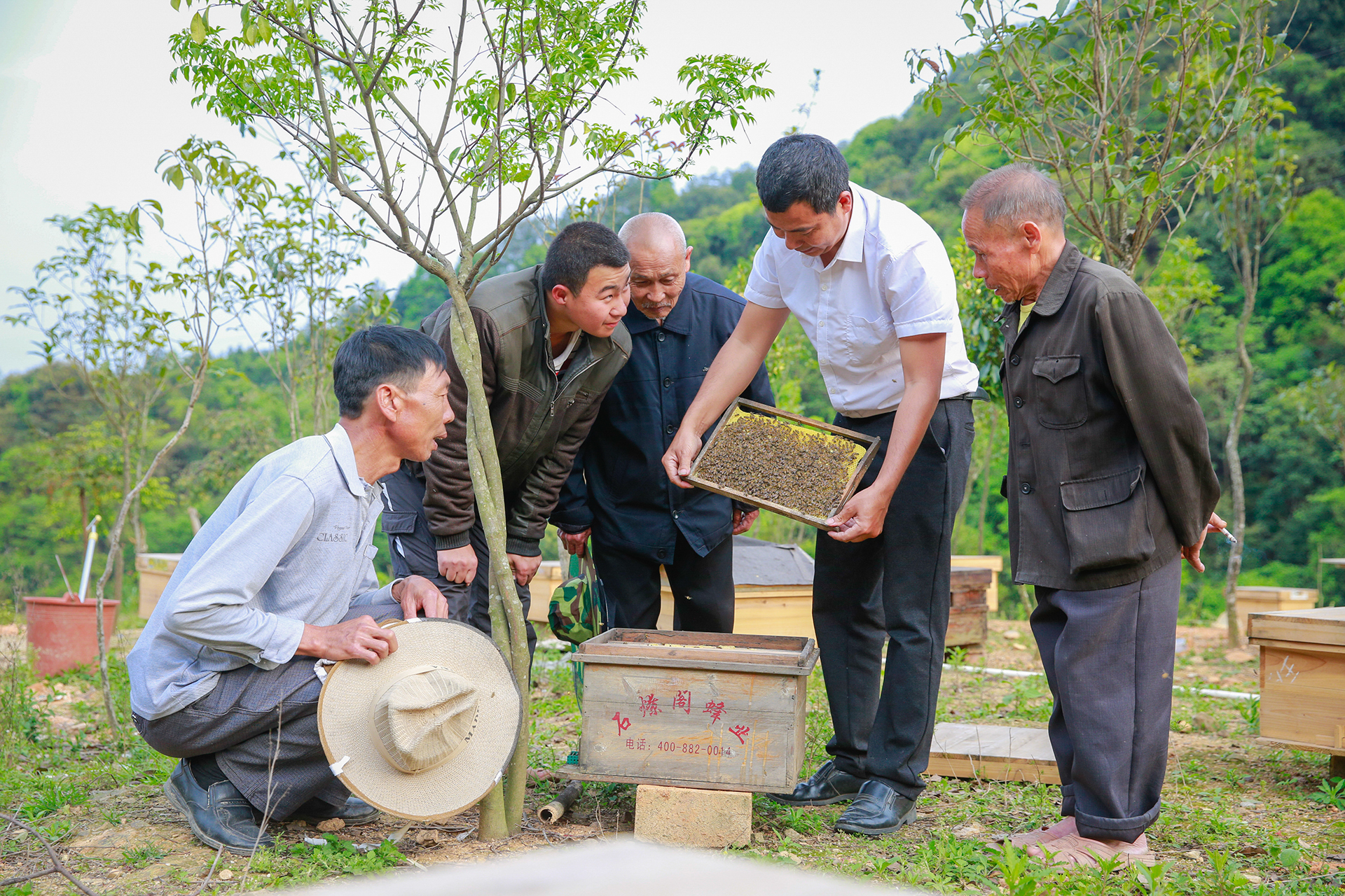 养蜂技术培训。武平县融媒体中心 供图