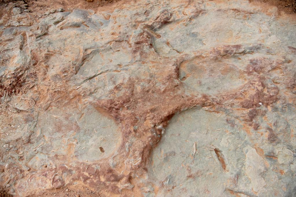 位于河北省张家口市宣化区的恐龙足迹化石
