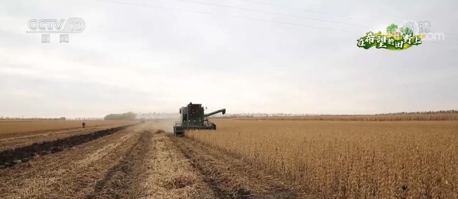 在希望的田野上 | 秋粮收获进入高峰期 日收获量达2700万亩左右