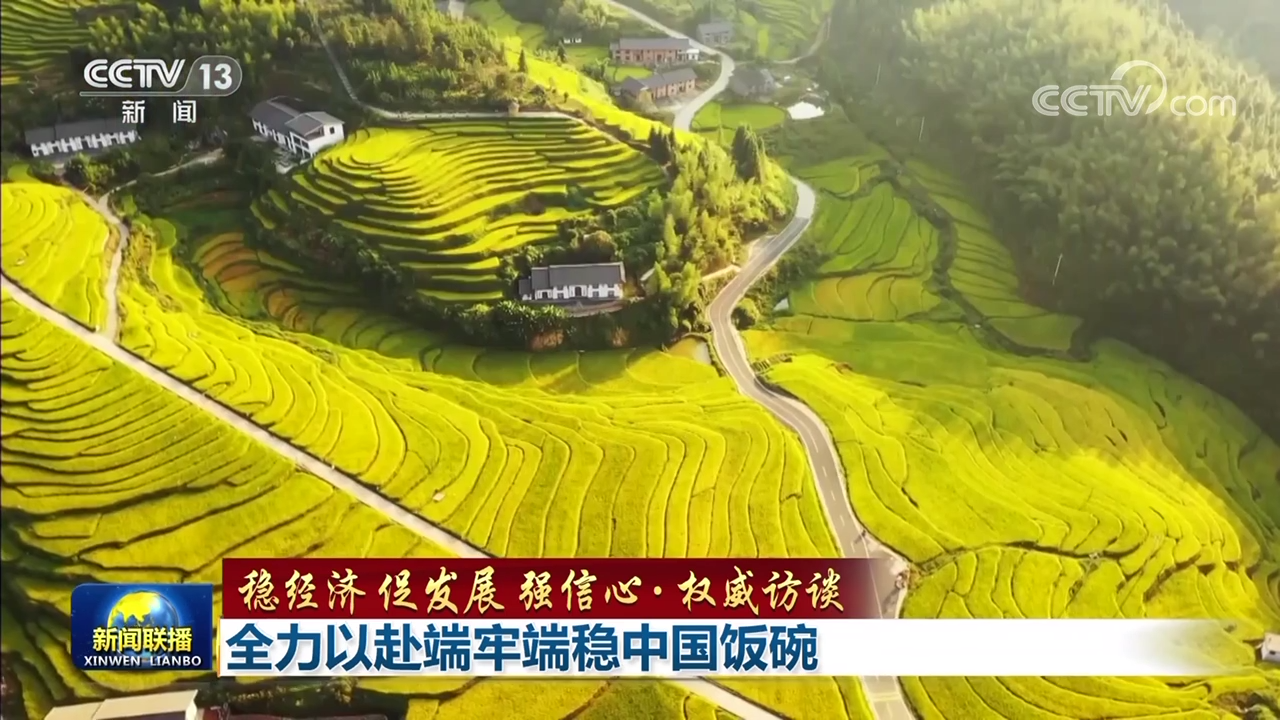 【稳经济 促发展 强信心·权威访谈】全力以赴端牢端稳中国饭碗_新闻频道_央视网(cctv.com)