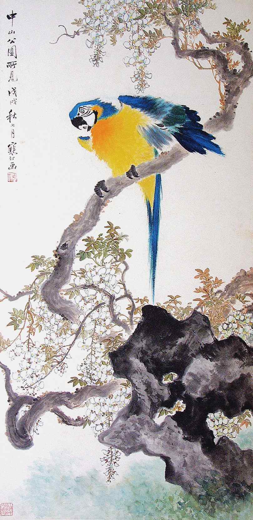 中山公园所见（金刚鹦鹉）（国画） 139.5×68厘米 1958年 江寒汀