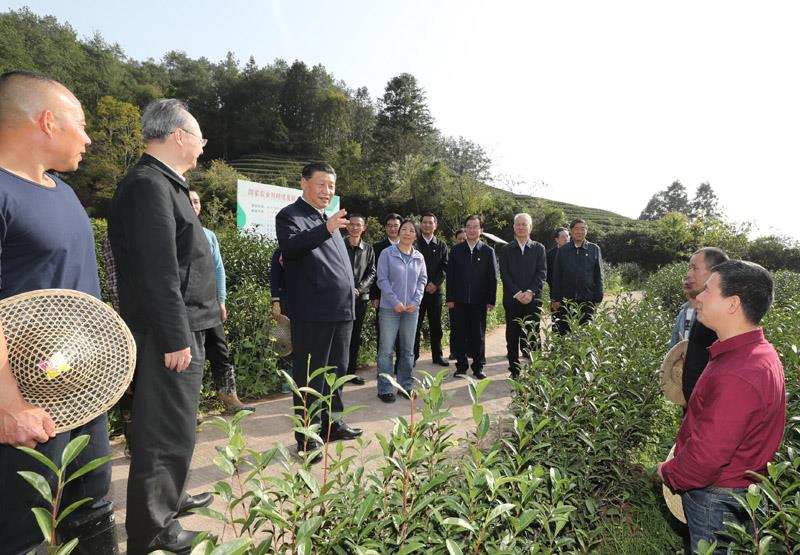 2021年3月22日，习近平总书记在福建南平武夷山市星村镇燕子窠生态茶园，同科技特派员、茶农亲切交流，了解当地茶产业发展情况。