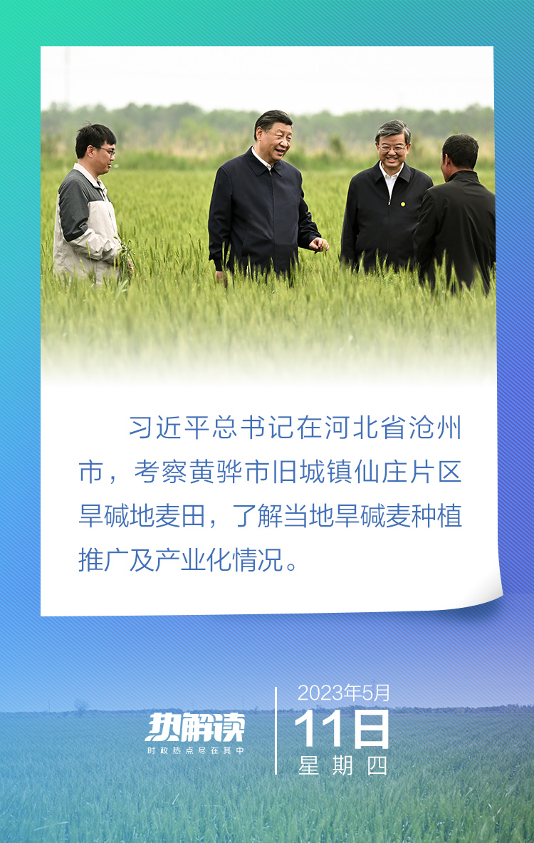 热解读｜从沧州旱碱地麦田，读懂总书记强调的这个“主动权”