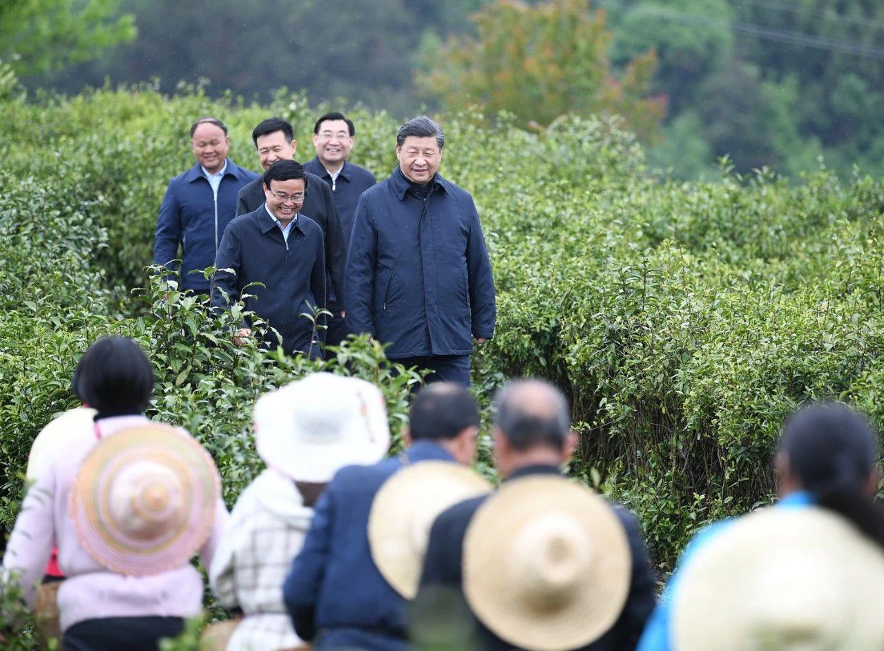 2020年4月21日，习近平总书记来到陕西安康市平利县老县镇蒋家坪村的一处茶园，考察脱贫攻坚情况。