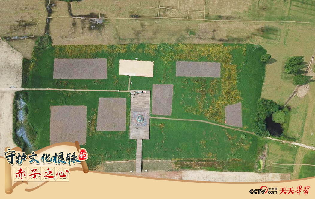 2019年6月23日無人機拍攝的良渚國家考古遺址公園的宮殿區。