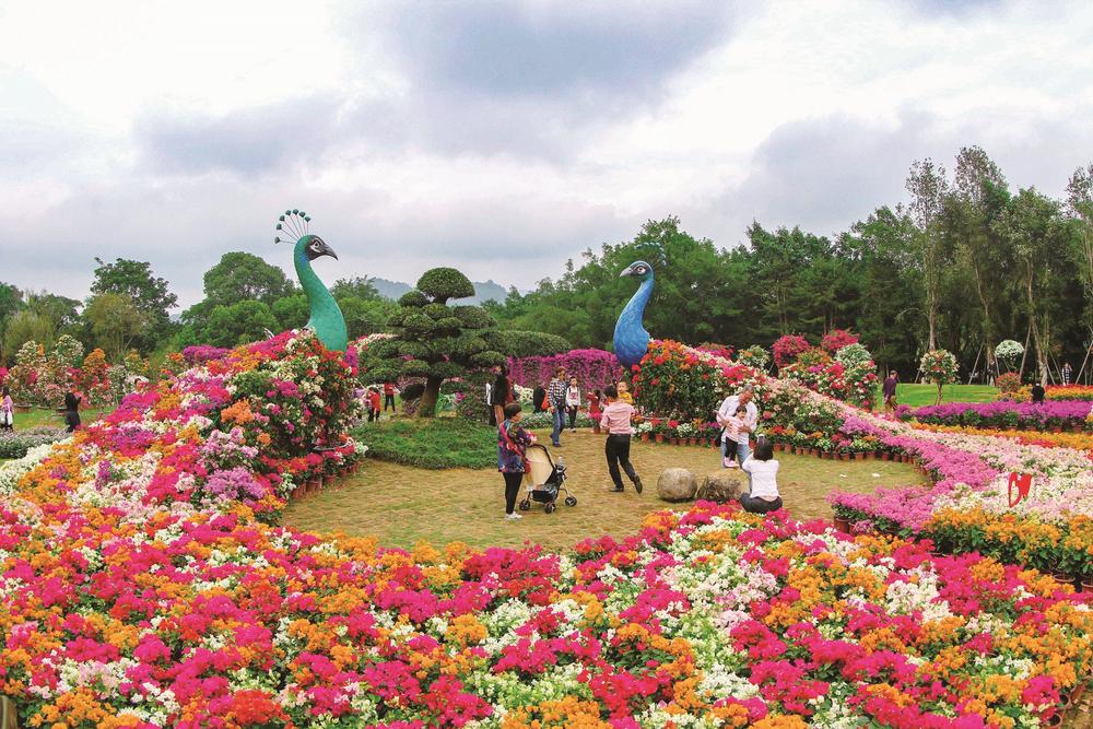 花博会百花馆图片