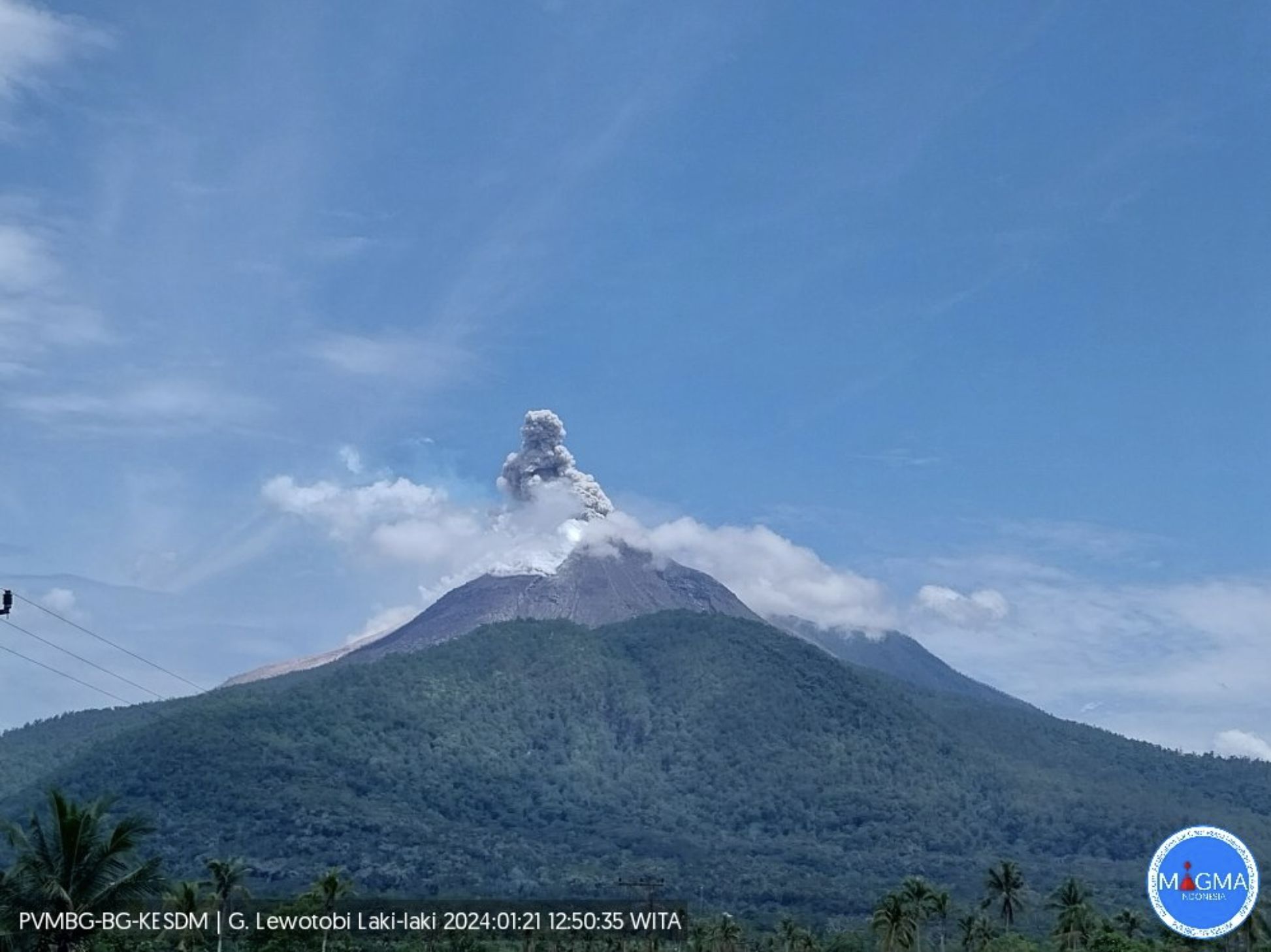 印尼勒沃托比火山喷发