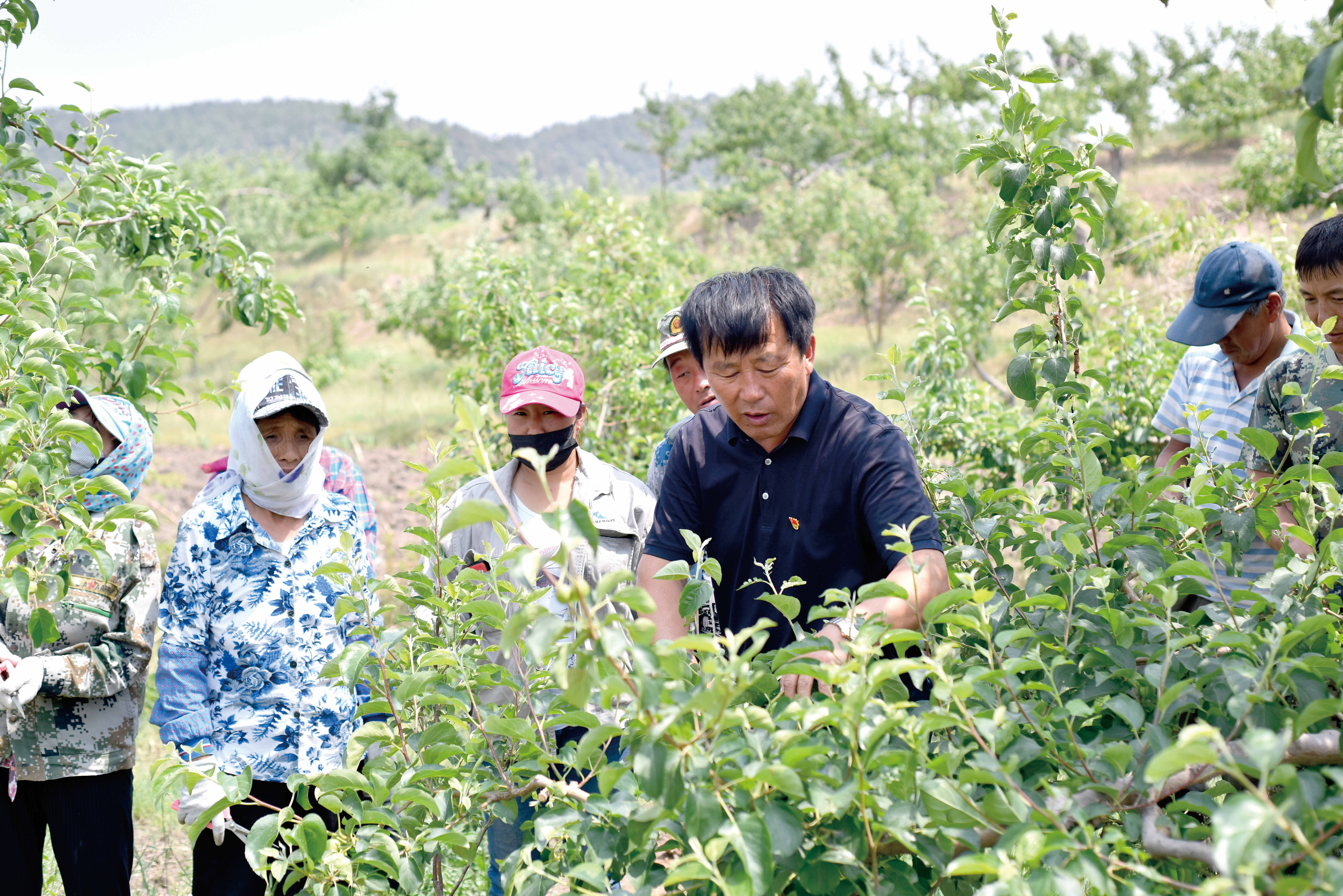 付宝库（前排）向果农传授果树种植技术