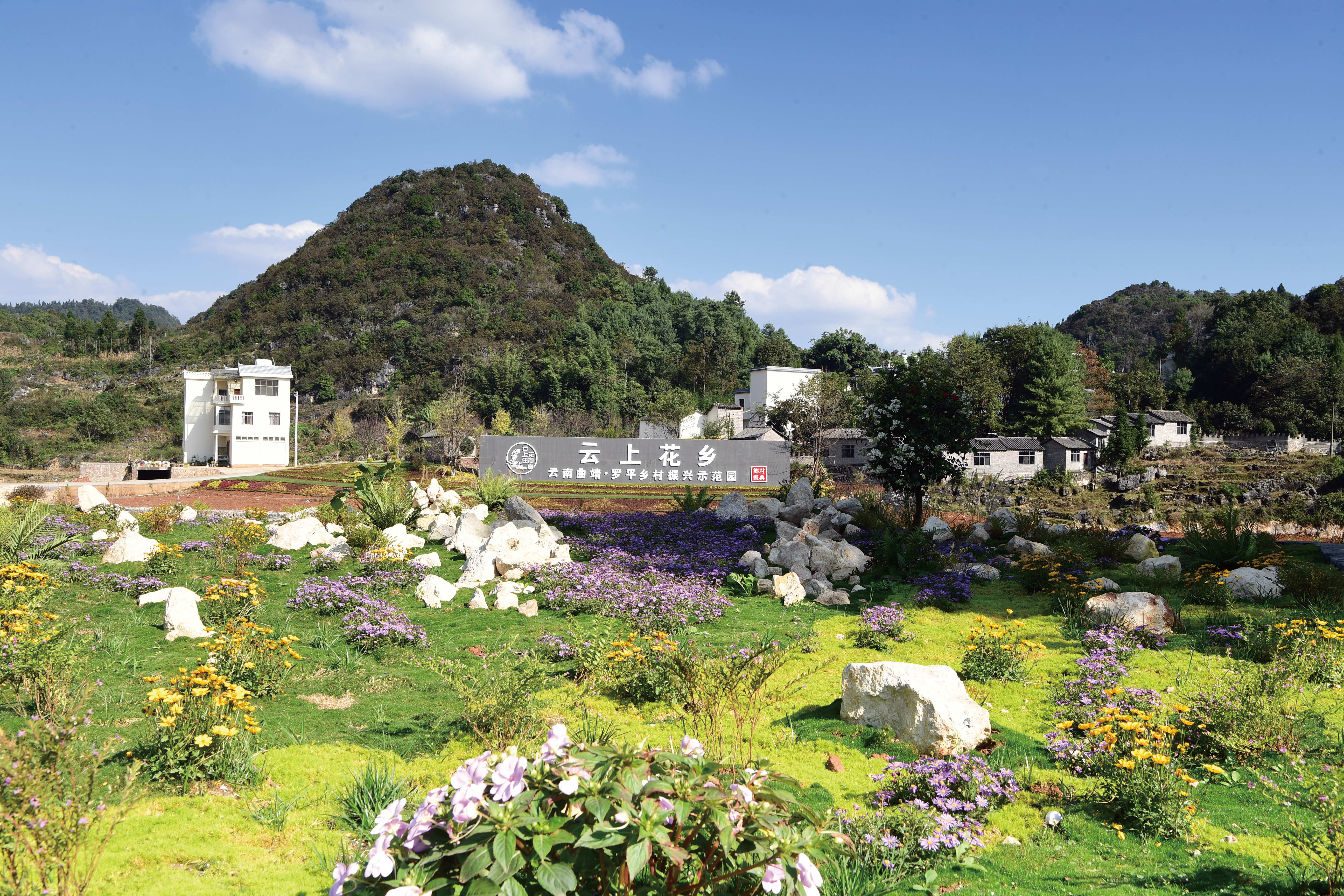 小龙潭村乡村振兴示范园