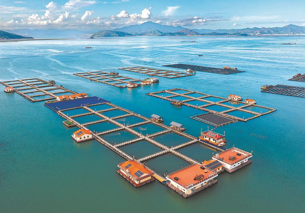 福建宁德守护海上田园交出清海答卷