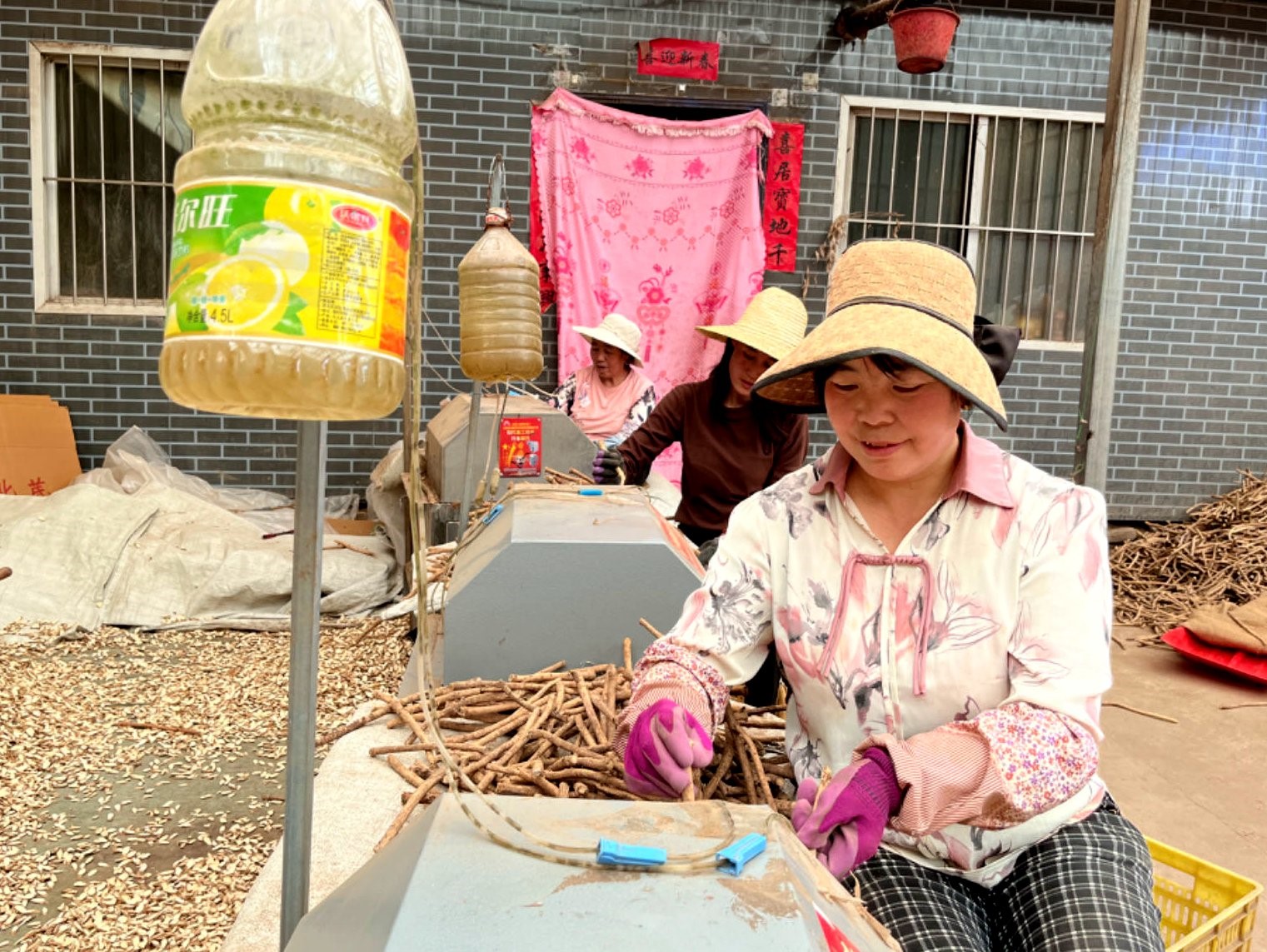 “陪读妈妈们”正在谈小飞的合作社加工药材