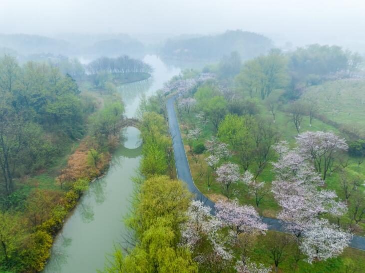 池州市杏花村美景。饶颐供图