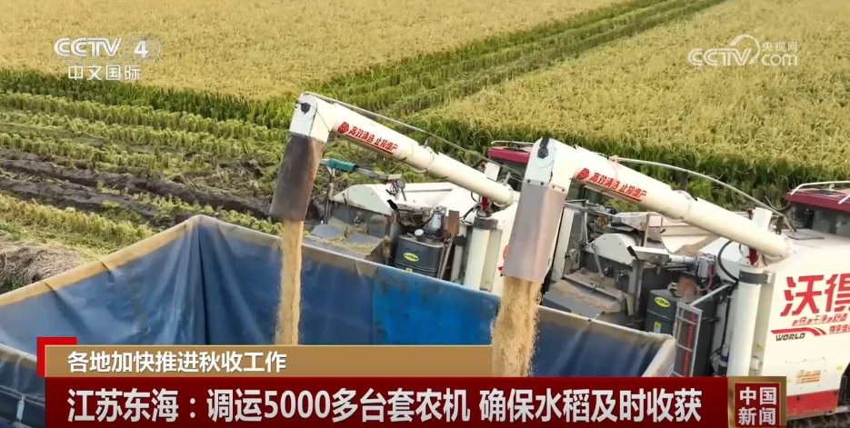 全国粮食生产开局良好 冬小麦将迎来大面积收获