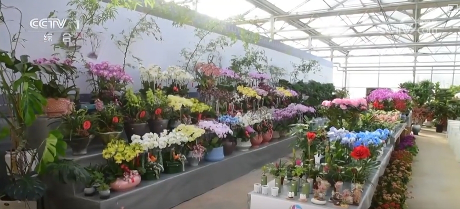 节日市场红红火火，文化味、年味儿……好一幅人间烟火气的“年俗画”