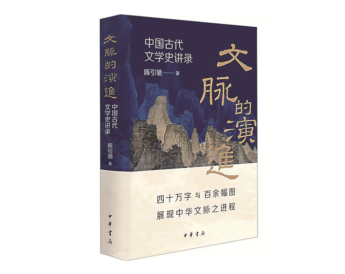 《文脉的演进：中国古代文学史讲录》  陈引驰 著  中华书局