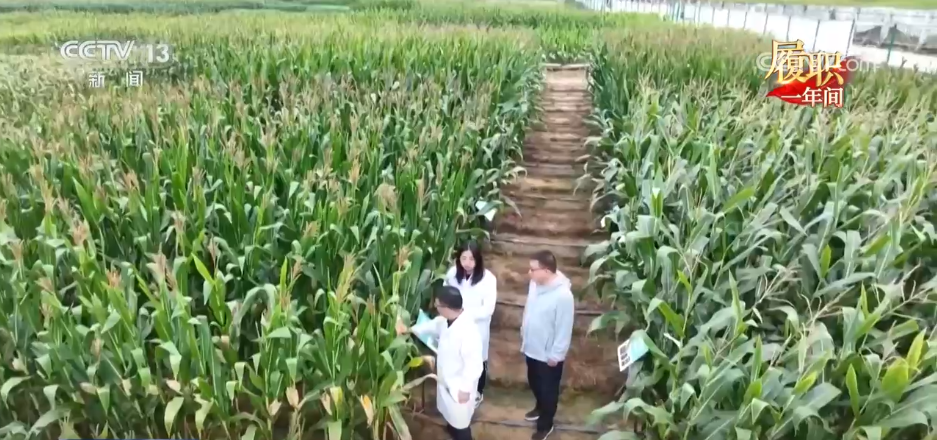 中国将继续推动海上非传统安全合作