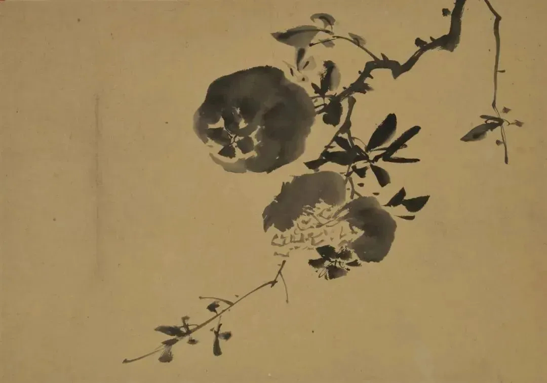 王雪涛 花鸟画稿片   纸本水墨 33cm×46.5cm 年代不详   中央美术学院美术馆藏